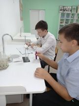 Практическая работа в 8 классе «Анализ почвы»