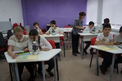 Строение почек